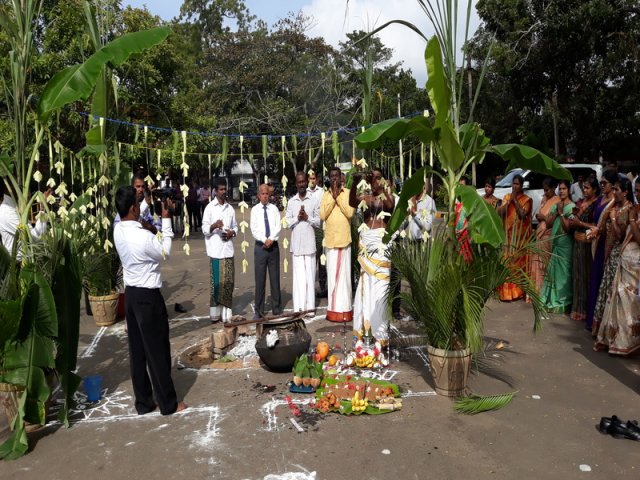 Thaipongal Festival_16.01.2019